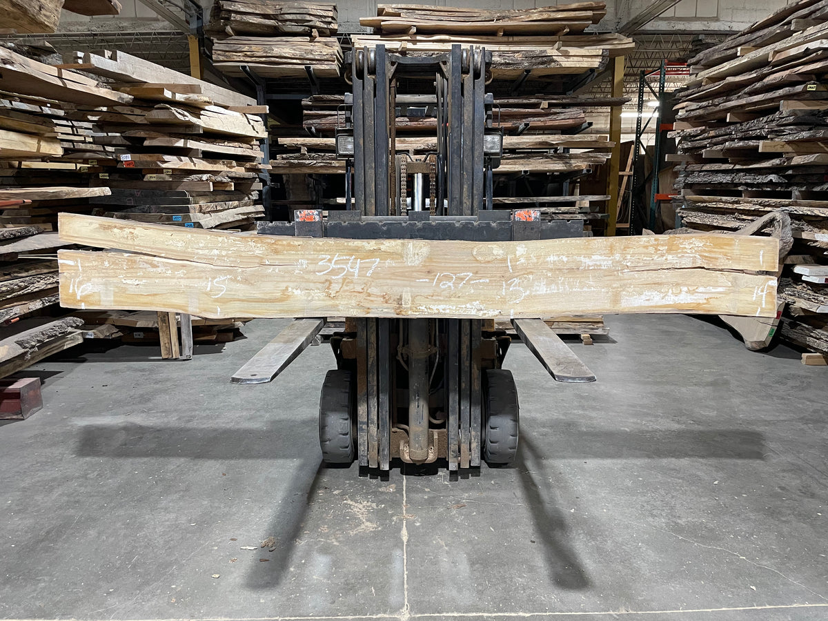 Sycamore (3547) 127” L x 13-16” W x 2” T