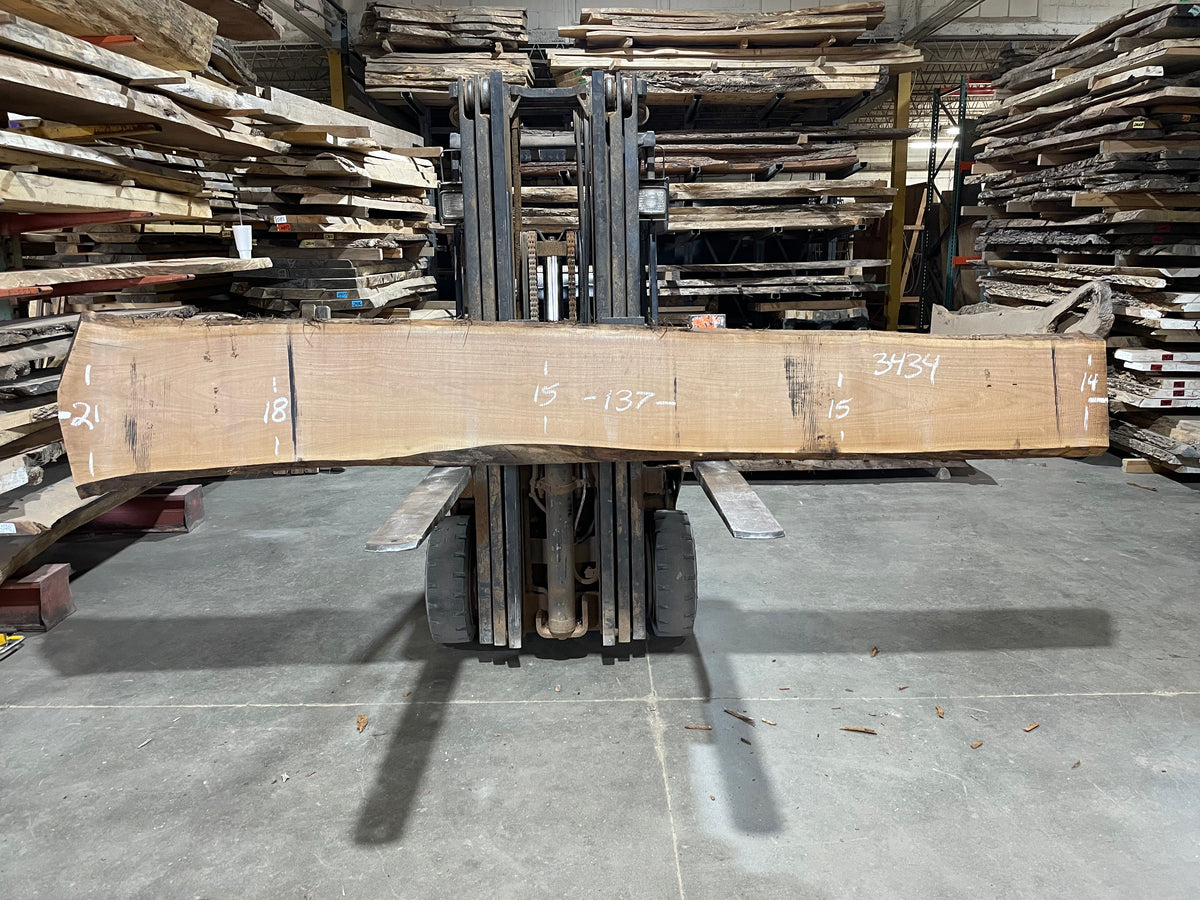 BLACK WALNUT (3434) 137” L x 14-21” W x 2.5” T