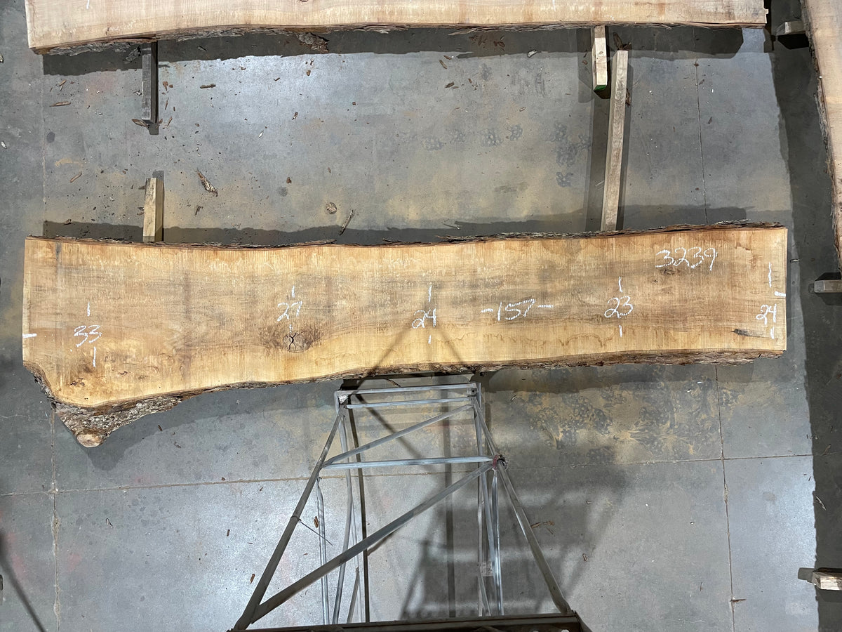 Pecan - (3239) 157&quot; L x 23-33&quot; W x 3 T (BOOKMATCH)