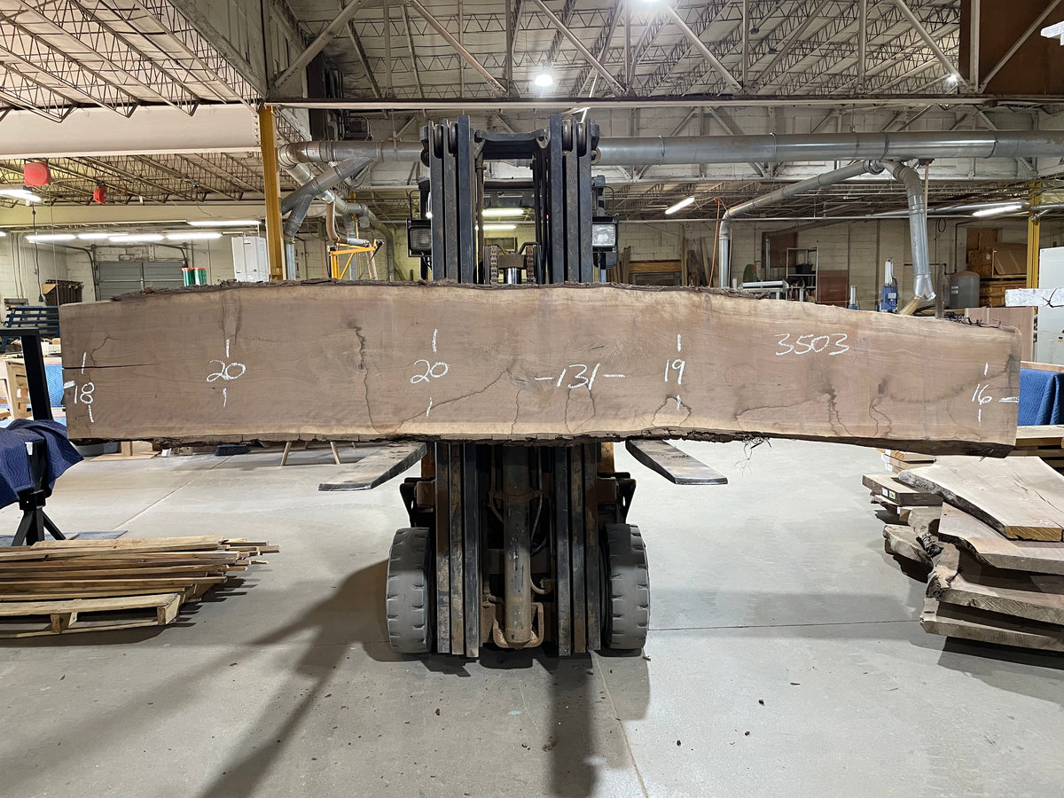 BLACK WALNUT (3503) 131” L x 16-20” W x 2.5” T
