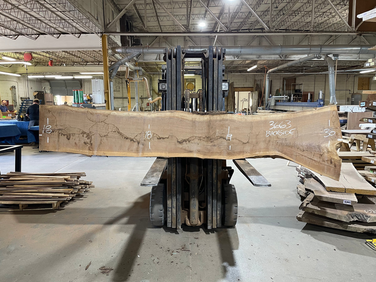 BLACK WALNUT (3663) 124” L x 17-29” W x 2.5” T