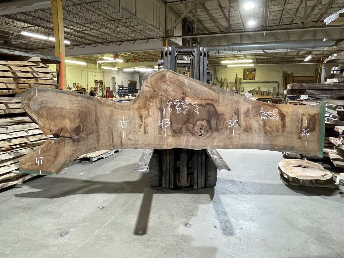 BLACK WALNUT (3668) 164” L x 15-45” W x 3” T