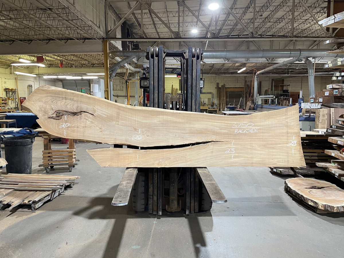 Siberian Elm (3750)  122” L x 21-29” W x 3” T