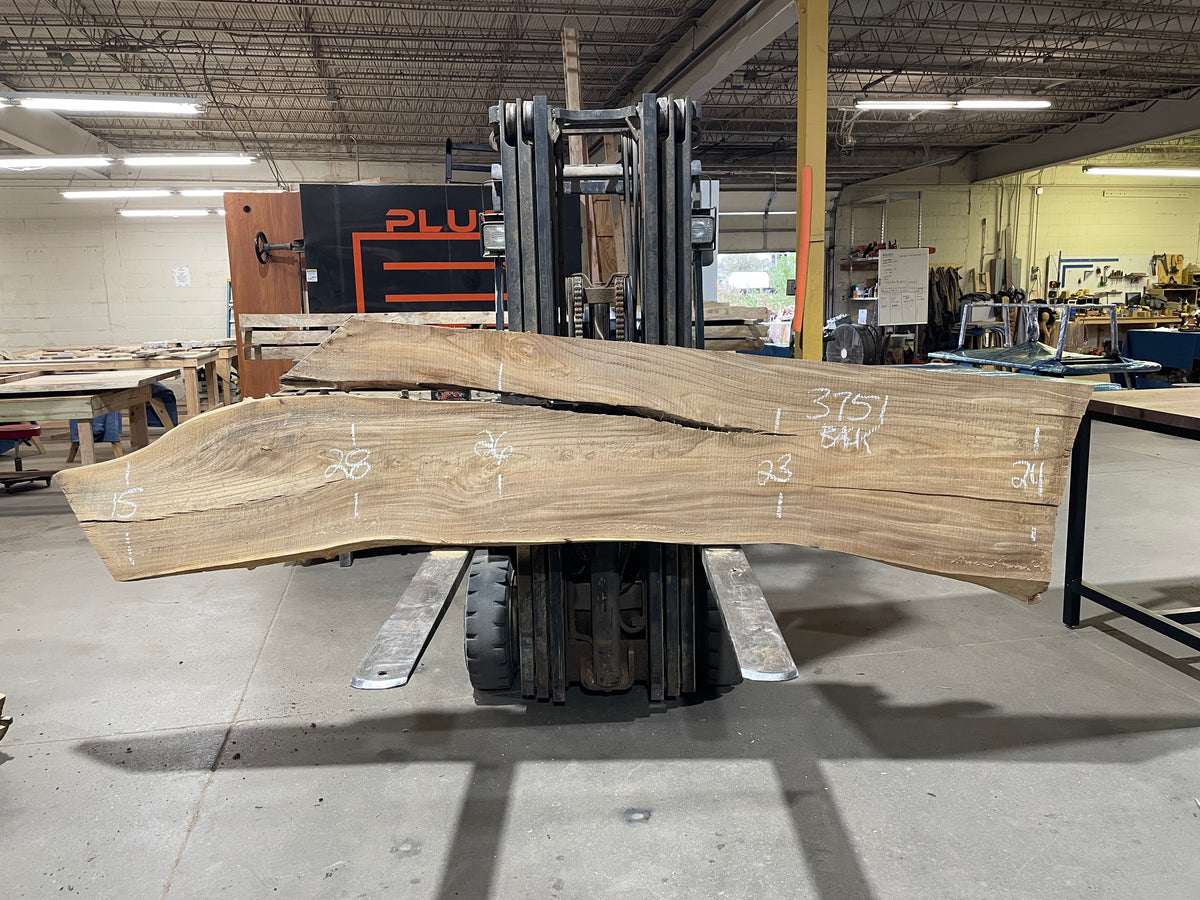 Siberian Elm (3751)  123” L x 21-27” W x 3” T