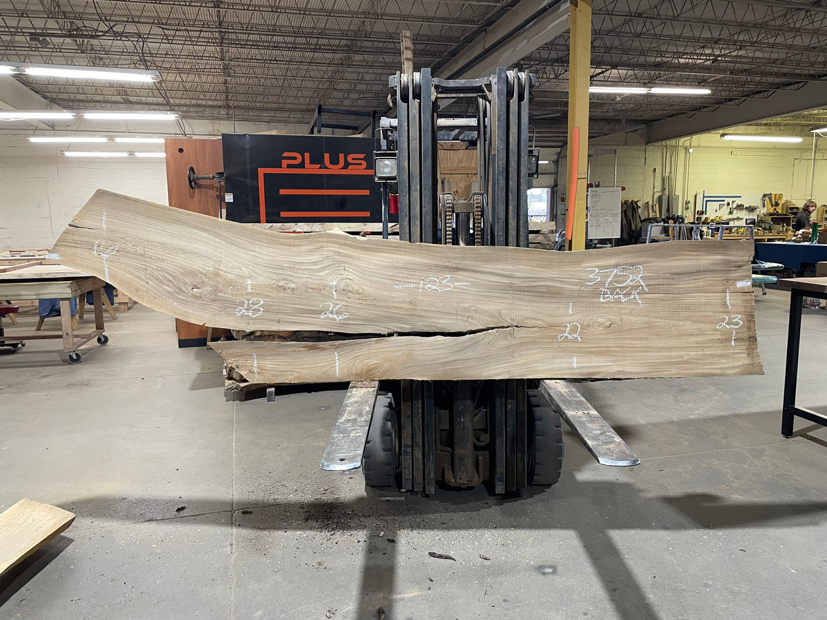 Siberian Elm (3752)  123” L x 14-27” W x 3” T