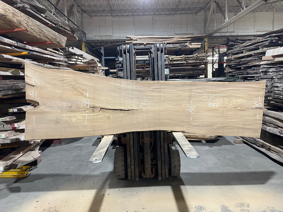 Siberian Elm (3755)  128” L x 27-41” W x 3” T