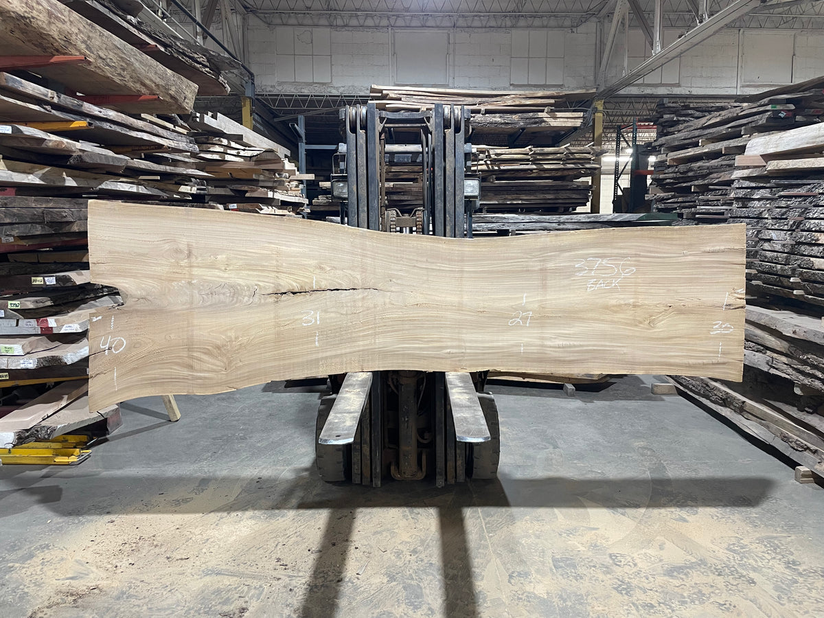 Siberian Elm (3756)  128” L x 26-38” W x 3” T