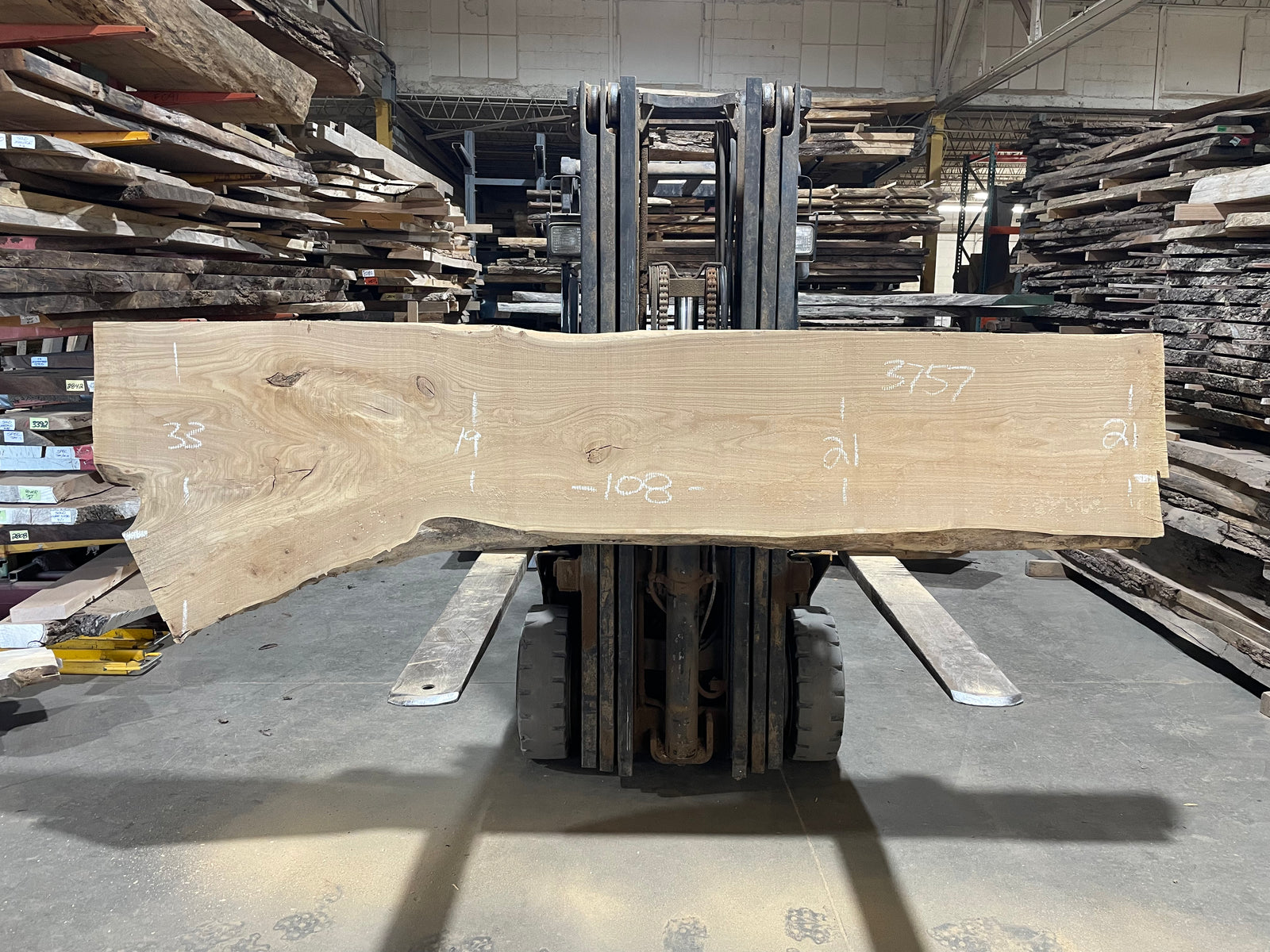 Siberian Elm (3757)  108” L x 19-33” W x 3” T