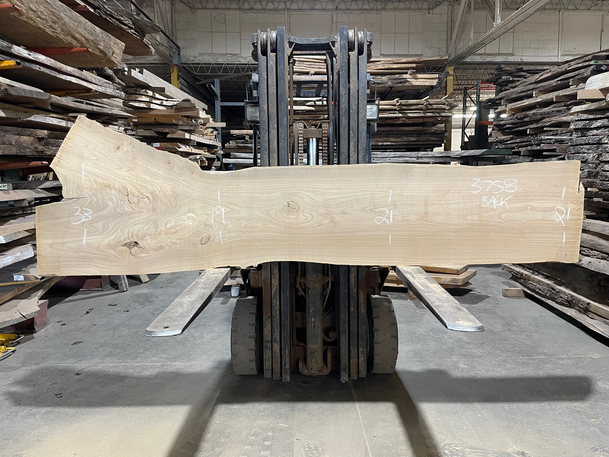 Siberian Elm (3758)  109” L x 17-32” W x 3” T