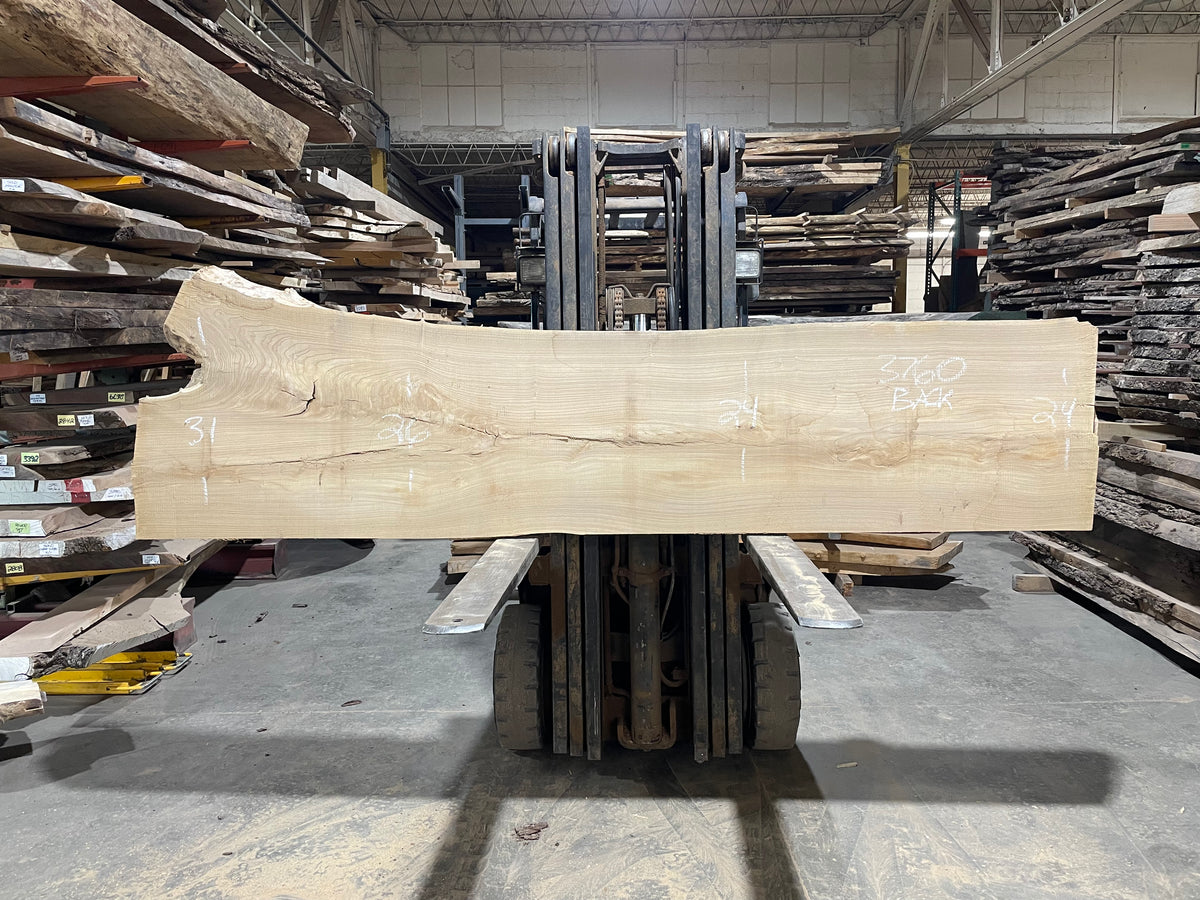 Siberian Elm (3760)  109” L x 22-33” W x 3” T
