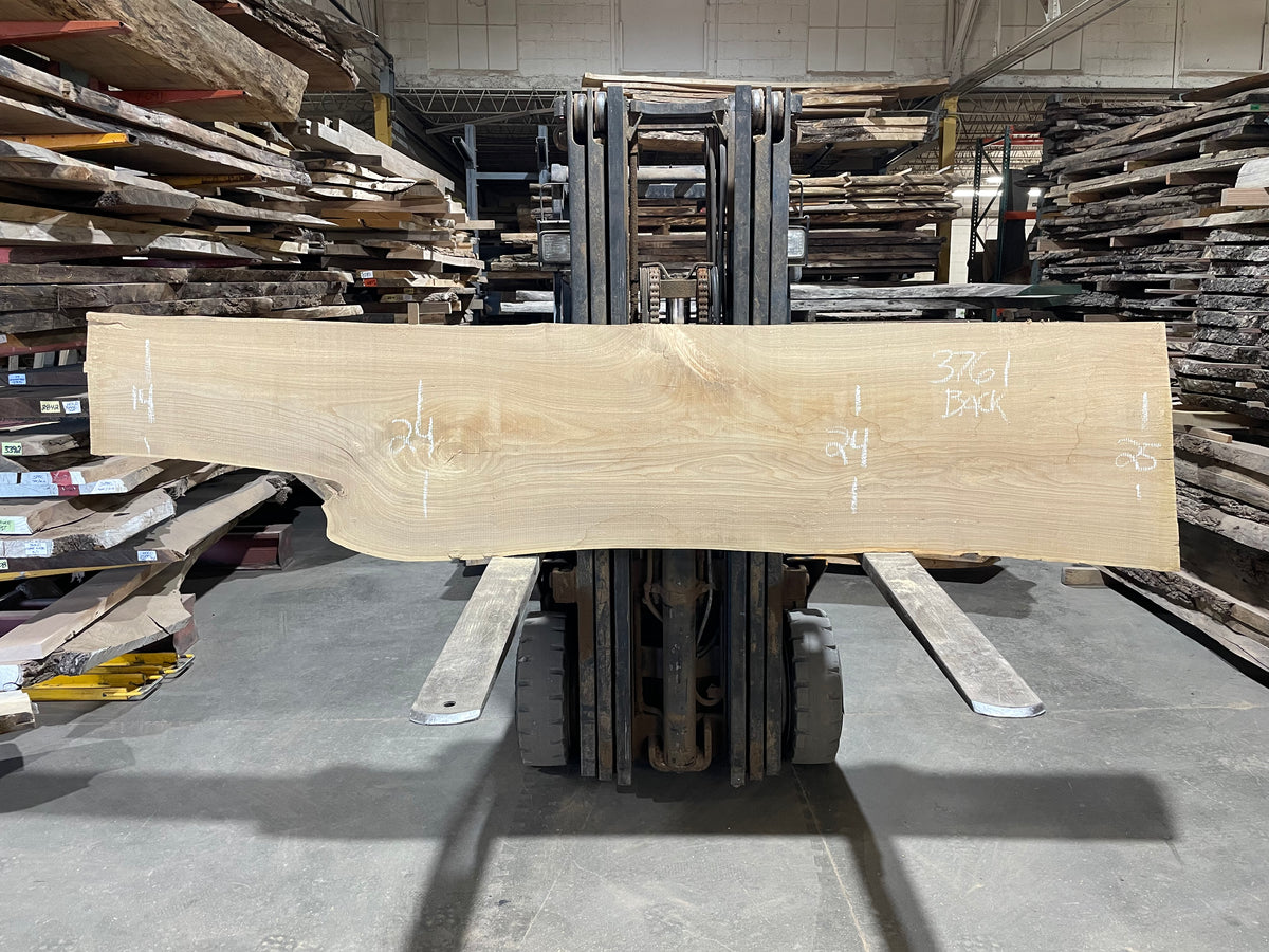 Siberian Elm (3761)  112” L x 10-25” W x 3” T