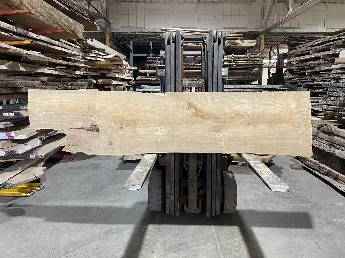 Siberian Elm (3762)  112” L x 15-25” W x 3” T