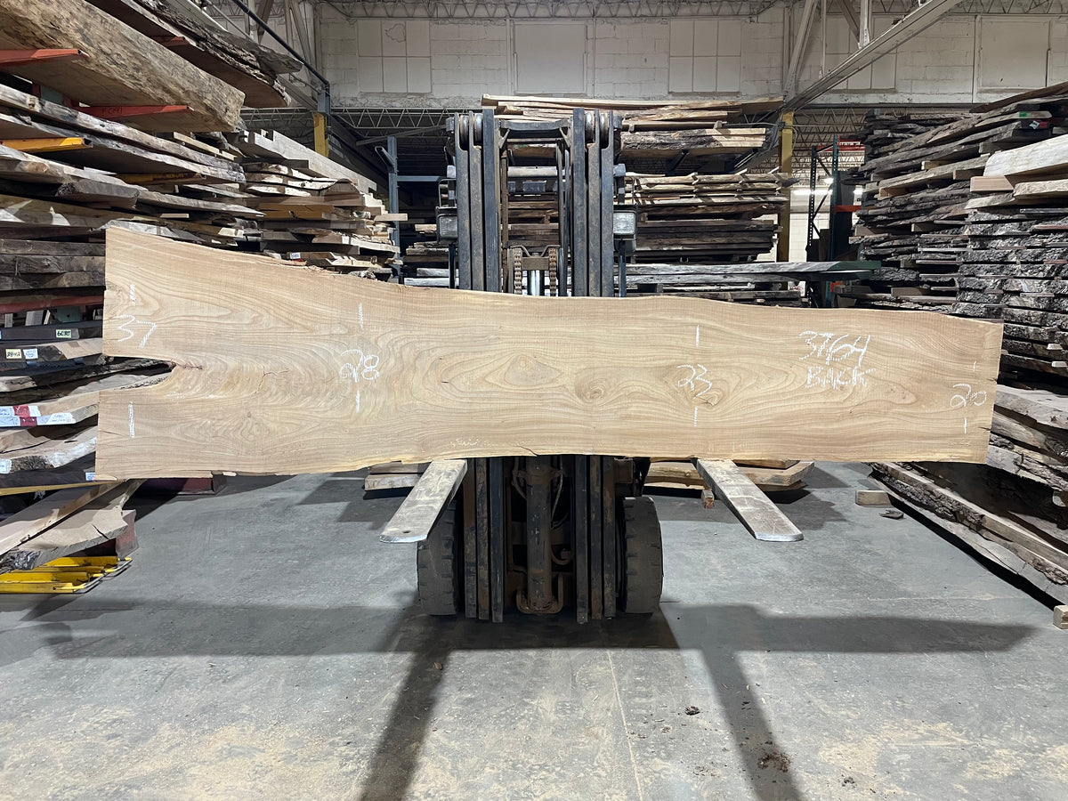 Siberian Elm (3764)  130” L x 13-30” W x 3” T