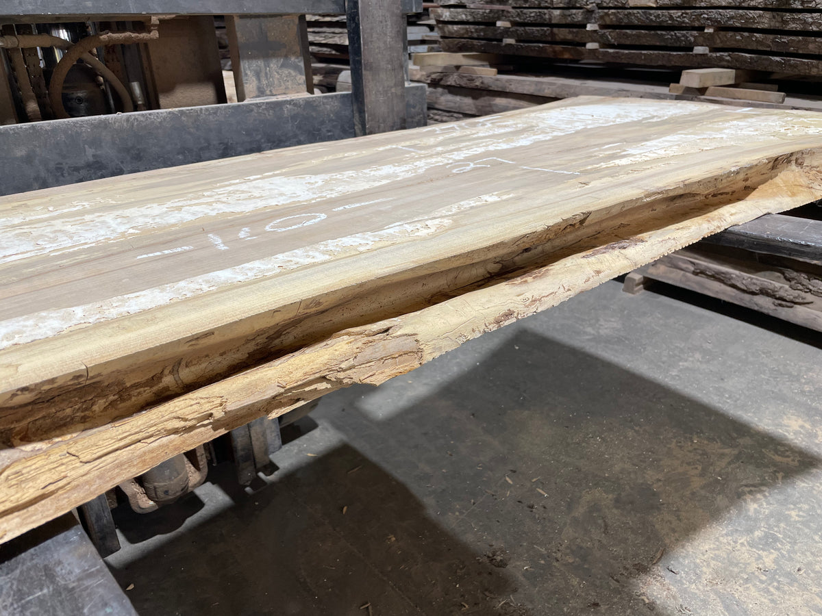Siberian Elm (3765)  110” L x 23-36” W x 3” T