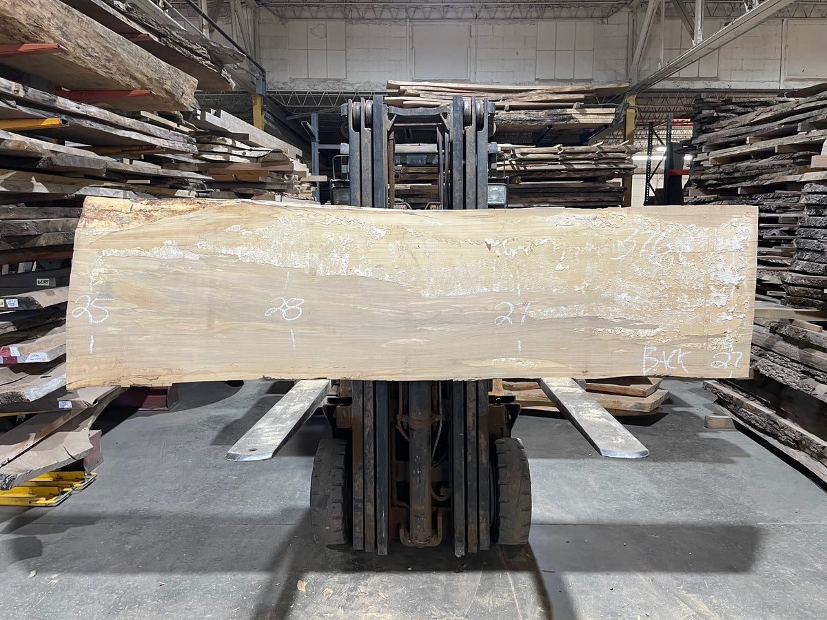 Siberian Elm (3767)  109” L x 25-30” W x 3” T