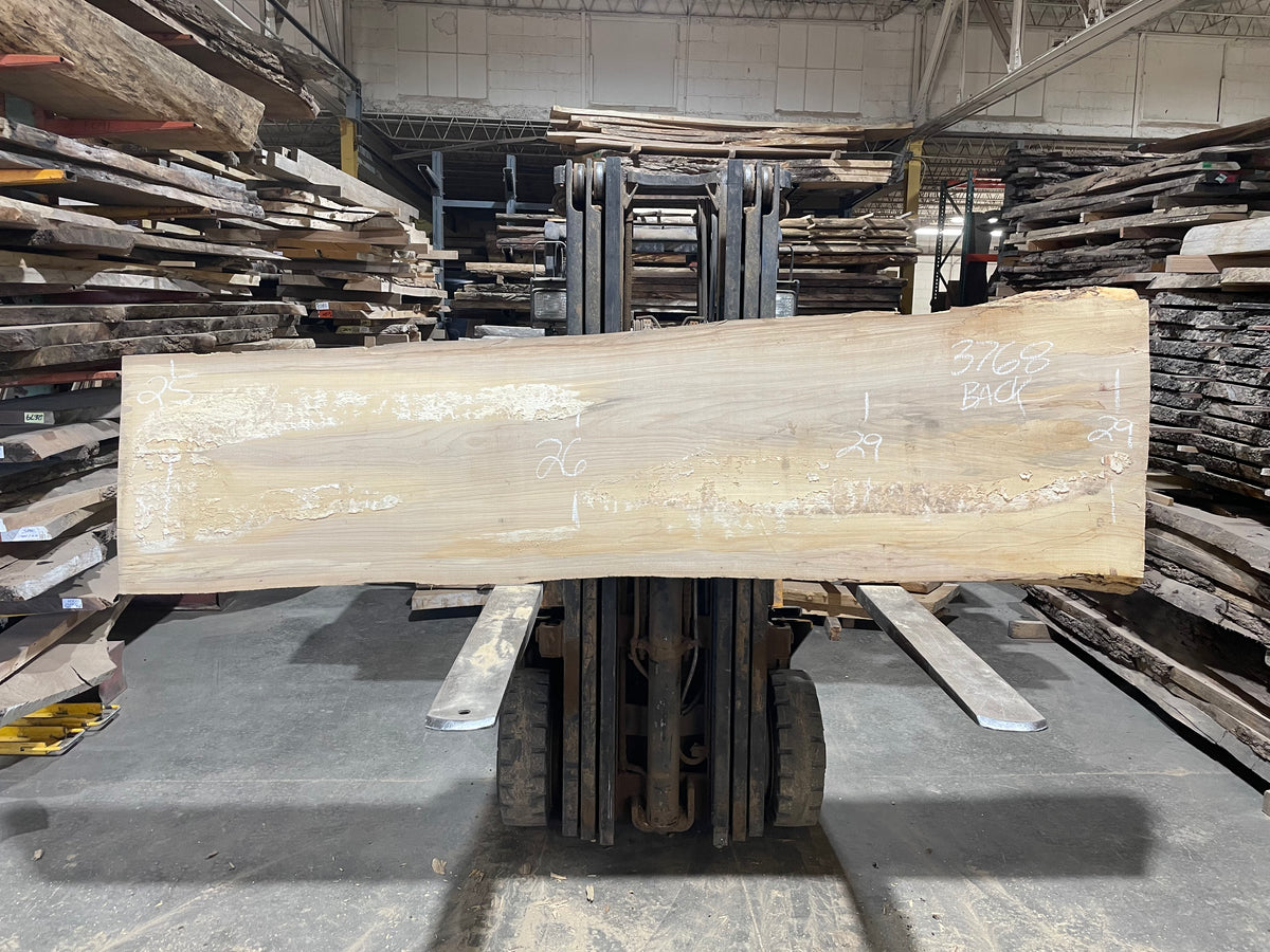 Siberian Elm (3768)  109” L x 22-33” W x 3” T