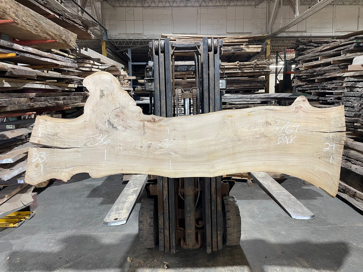 Siberian Elm (3769)  105” L x 16-32” W x 3” T