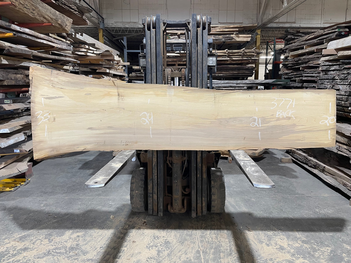 Siberian Elm (3771)  110” L x 14-34” W x 3” T
