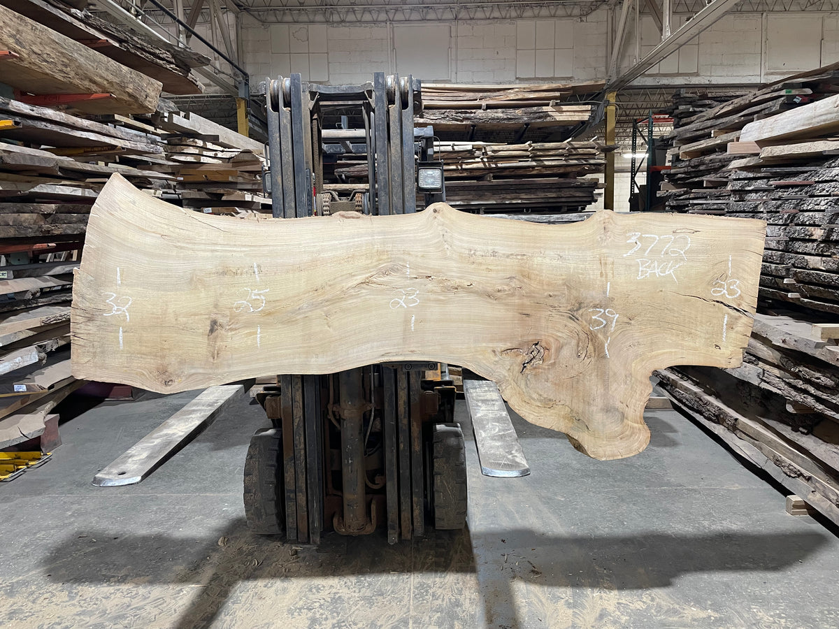 Siberian Elm (3772)  103” L x 20-37” W x 3” T