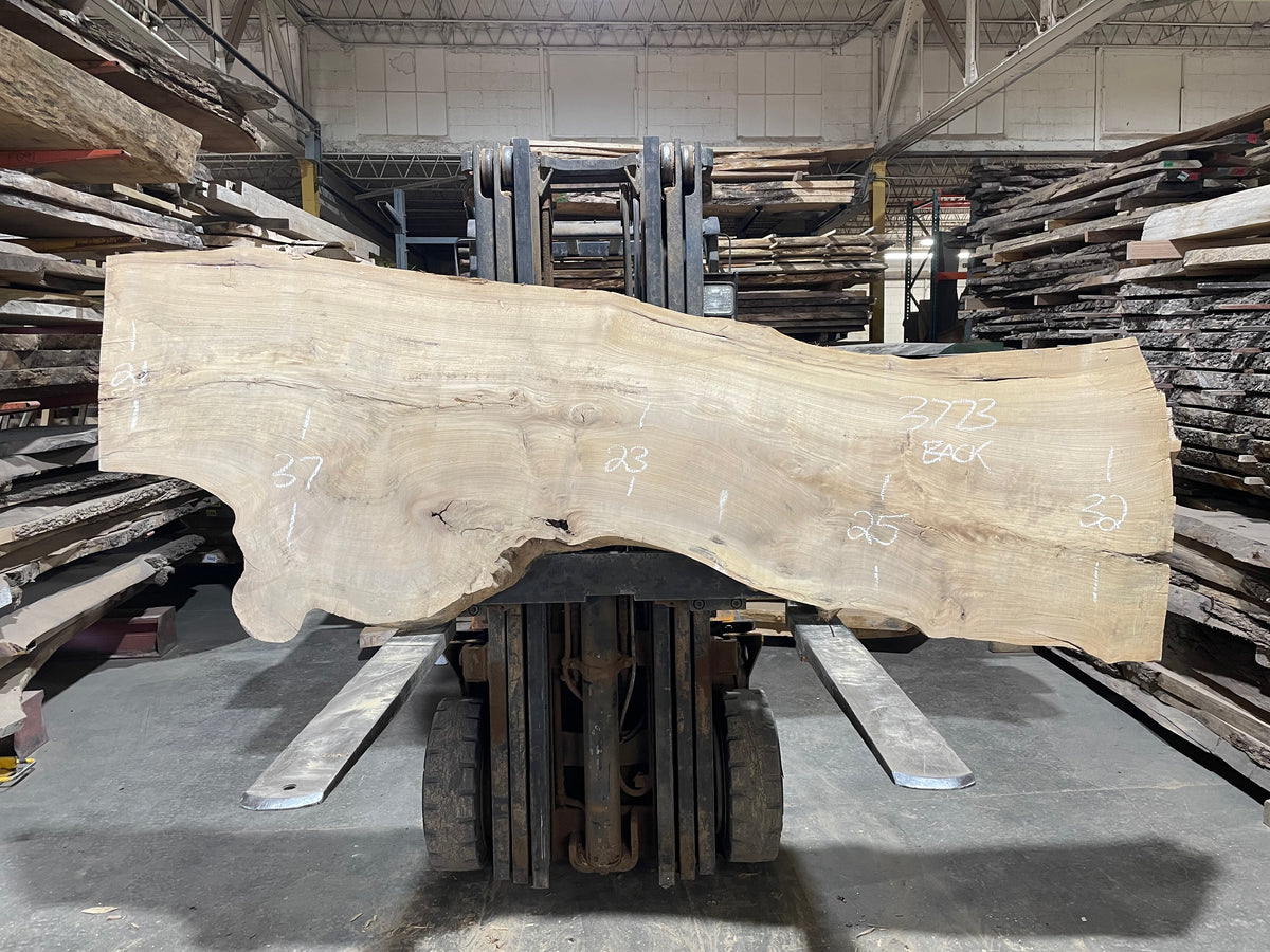 Siberian Elm (3773)  105” L x 19-30” W x 3” T