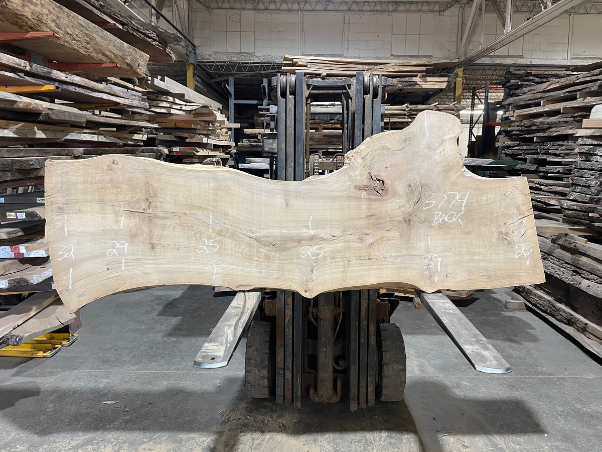 Siberian Elm (3774)  104” L x 22-38” W x 3” T