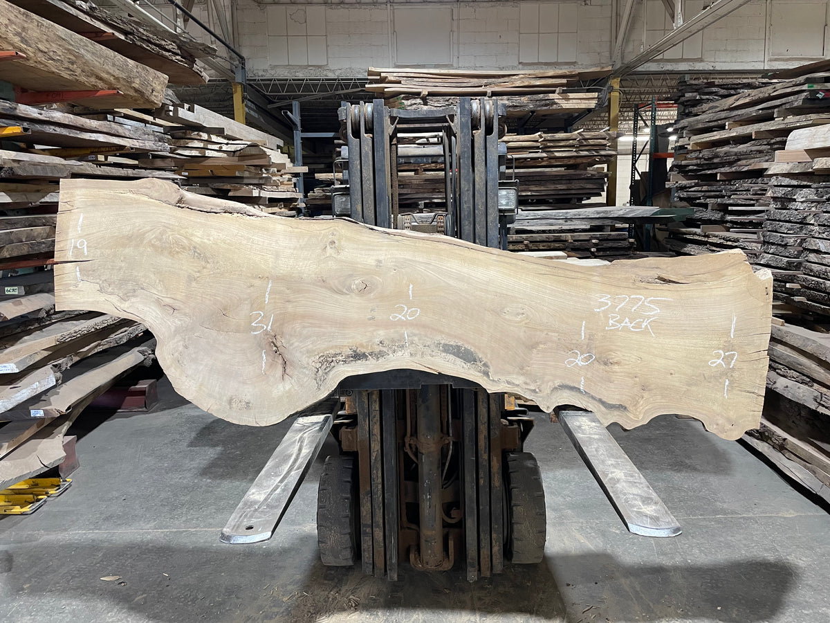 Siberian Elm (3775)  106” L x 15-31” W x 3” T