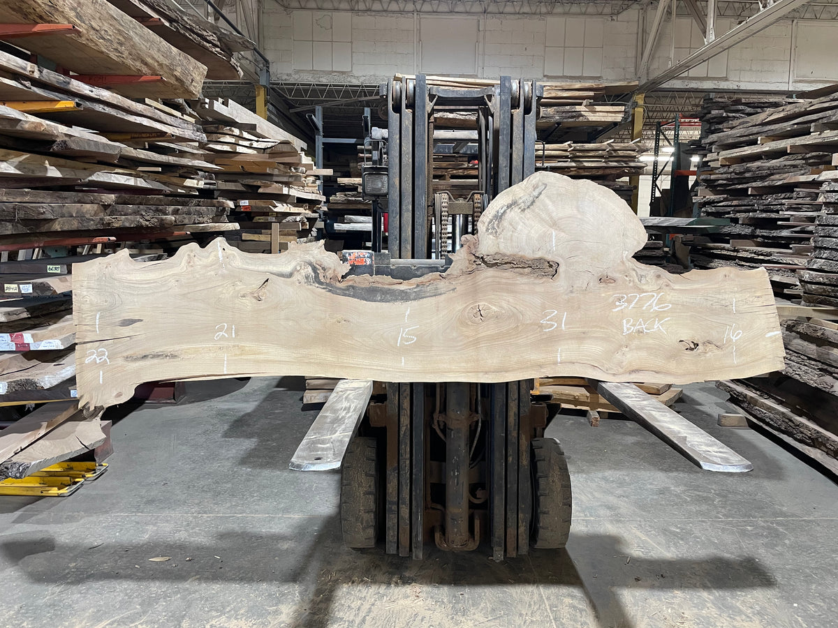 Siberian Elm (3776)  106” L x 11-29” W x 3” T