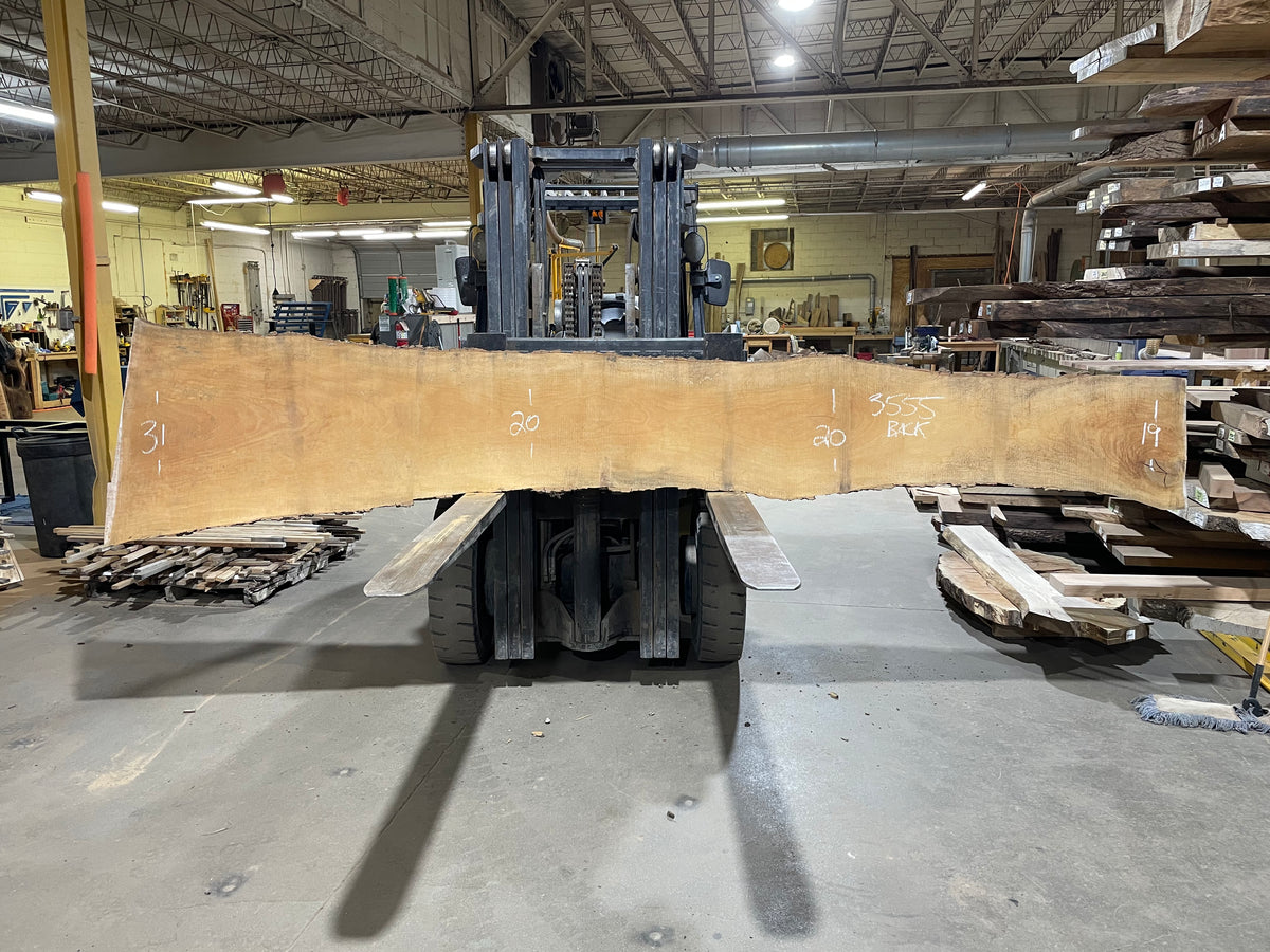 Sycamore (3555) 159” L x 9-30” W x 2.5” T