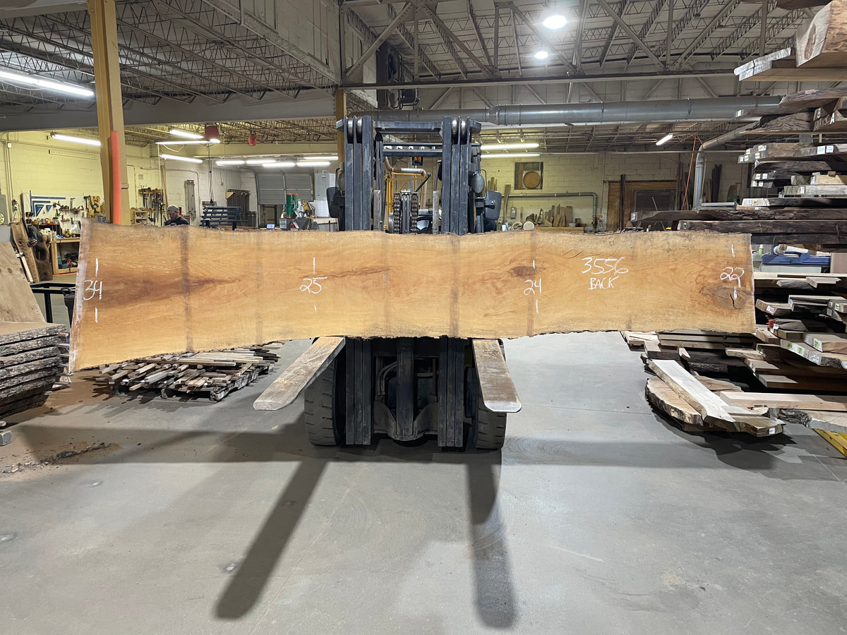 Sycamore (3556) 159” L x 16-33” W x 2.5” T