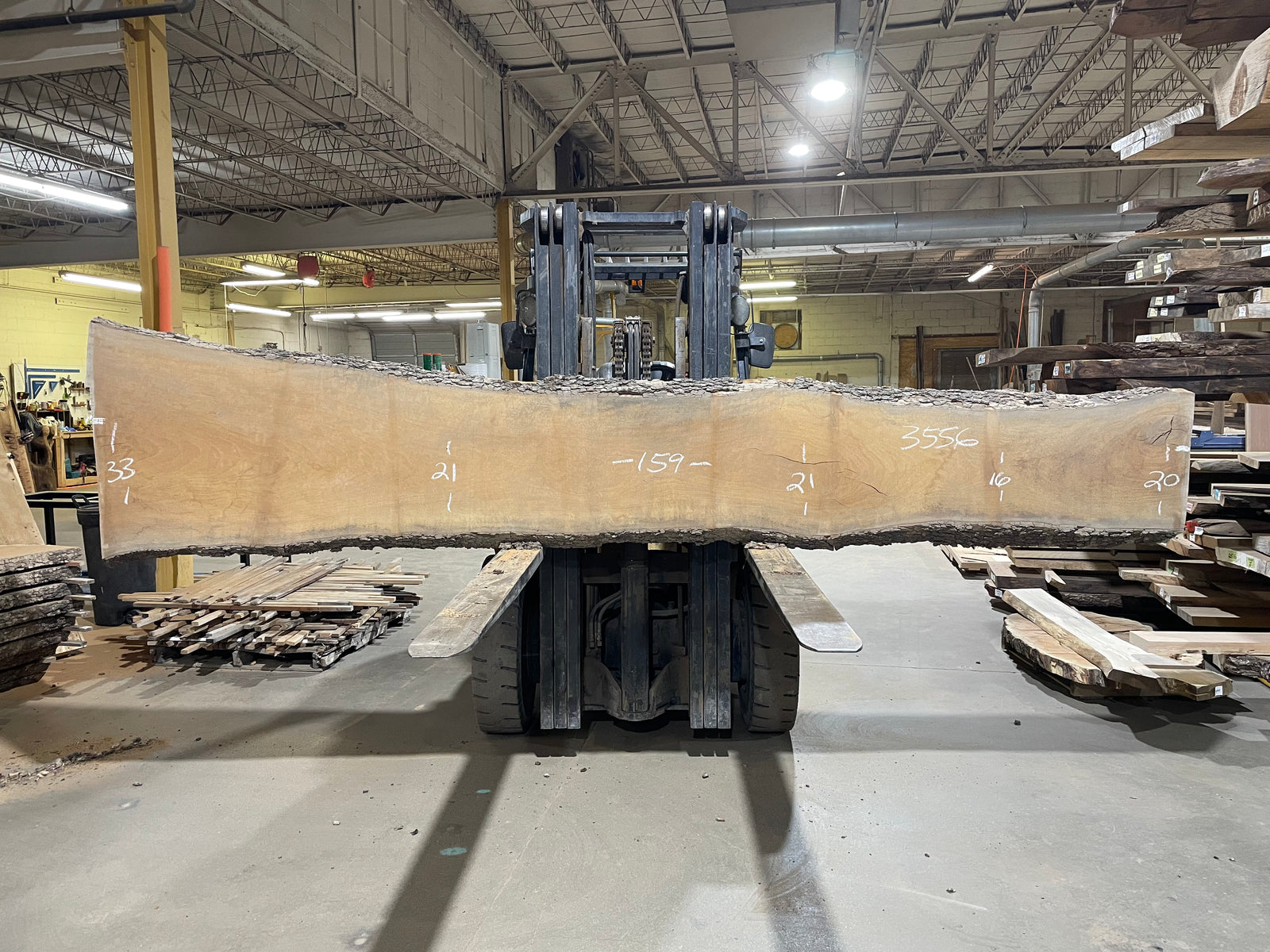 Sycamore (3556) 159” L x 16-33” W x 2.5” T