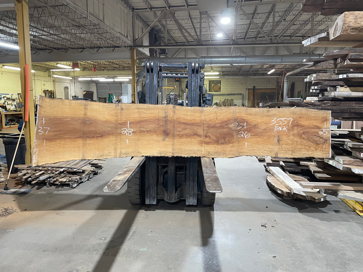 Sycamore (3557) 157” L x 22-35” W x 2.5” T