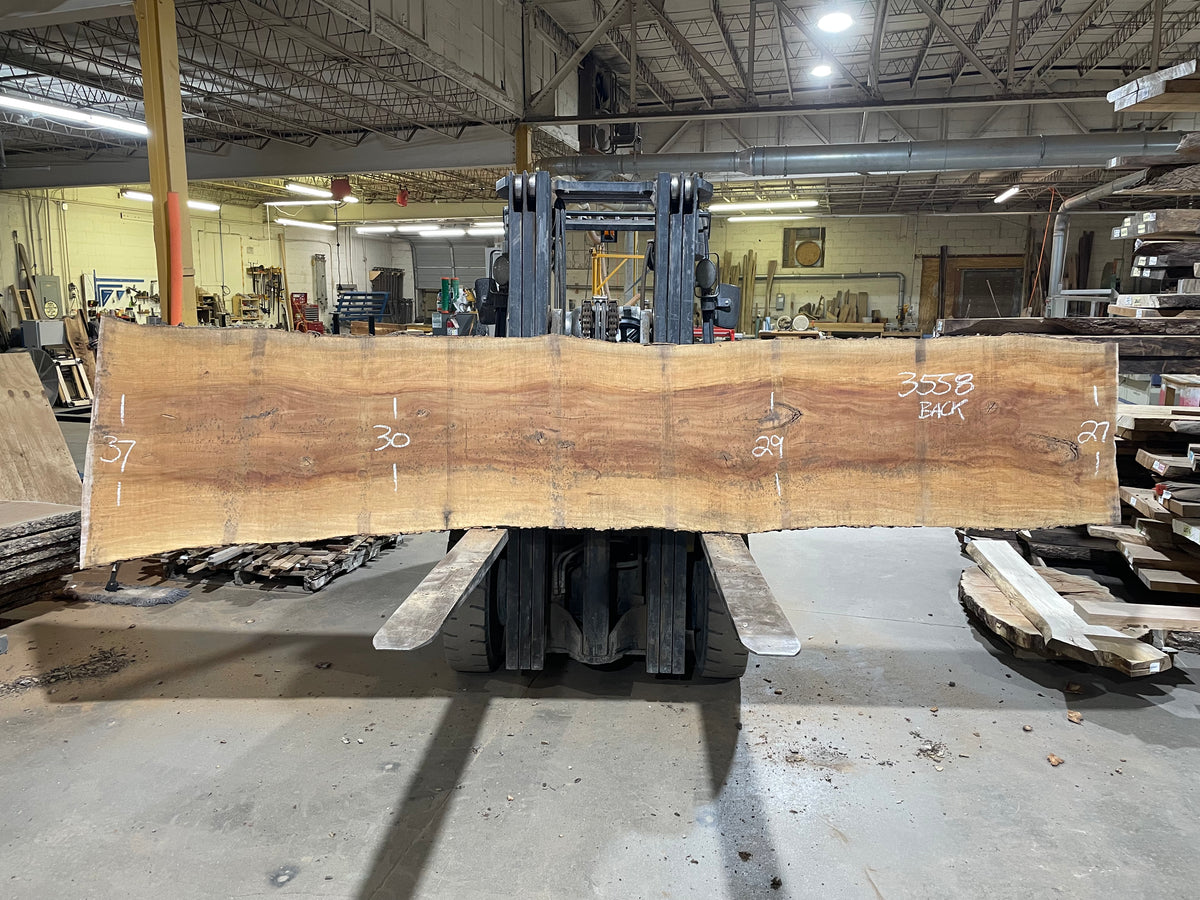 Sycamore (3558) 157” L x 25-37” W x 2.5” T
