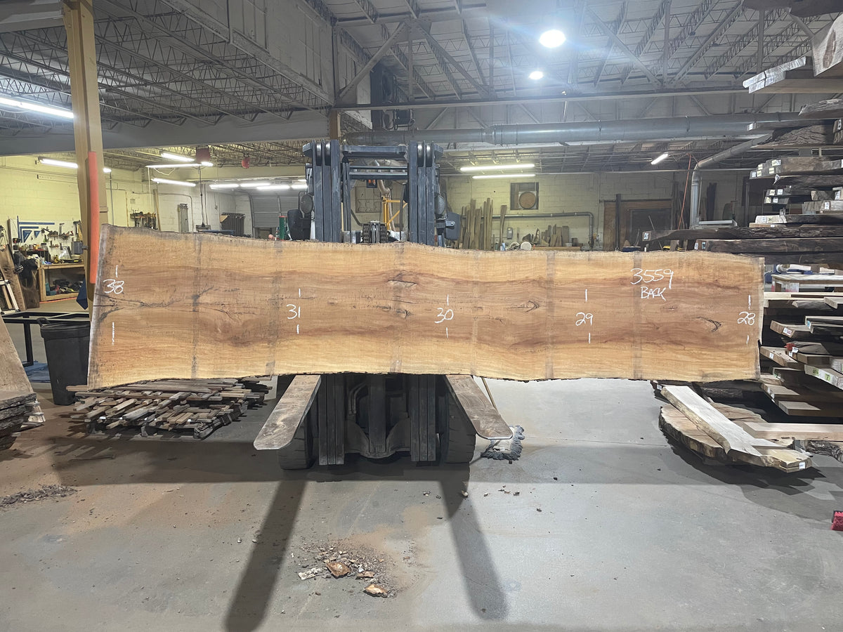 Sycamore (3559) 157” L x 27-39” W x 2.5” T