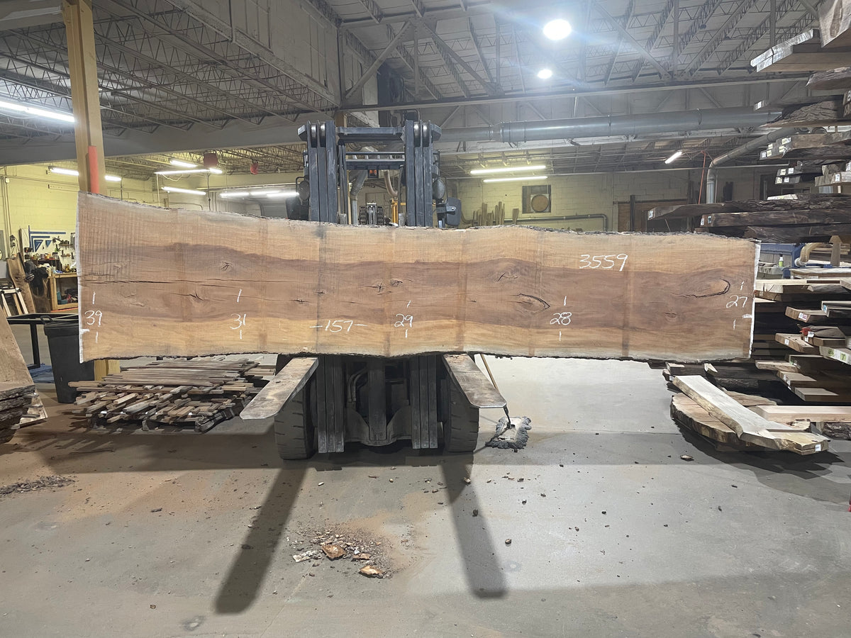 Sycamore (3559) 157” L x 27-39” W x 2.5” T