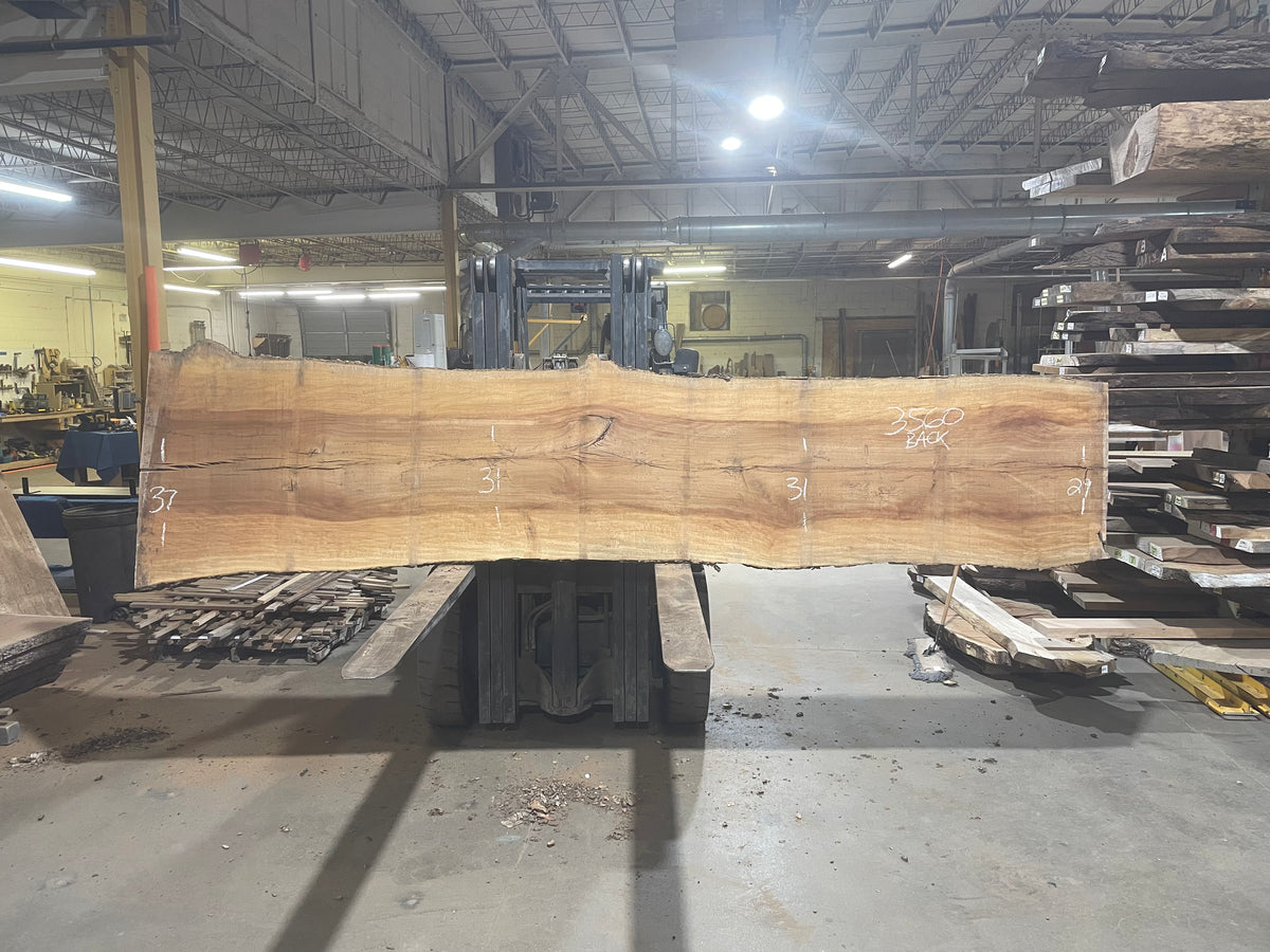 Sycamore (3560) 158” L x 29-38” W x 2.5” T