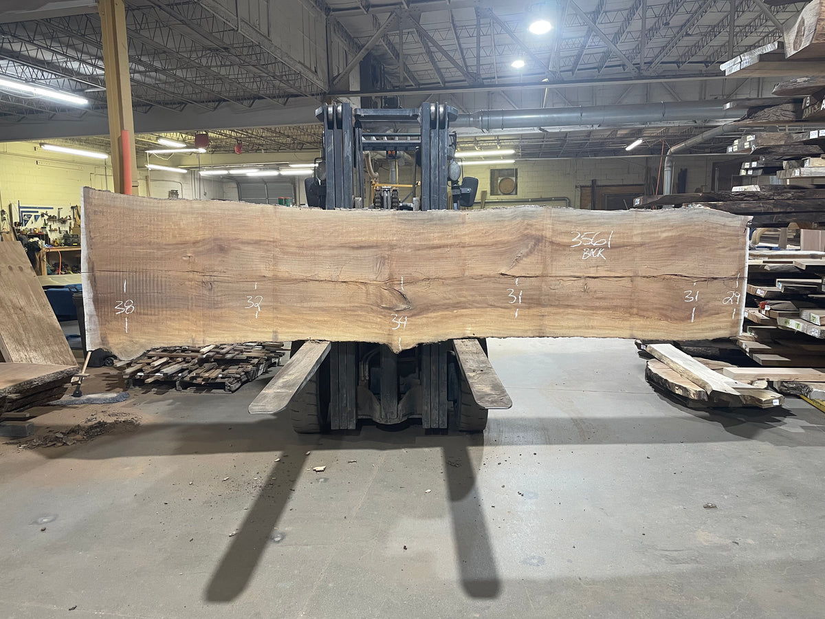 Sycamore (3561) 158” L x 30-37” W x 2.5” T