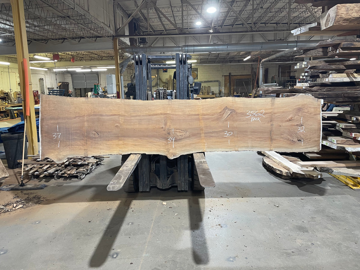 Sycamore (3562) 158” L x 29-34” W x 2.5” T