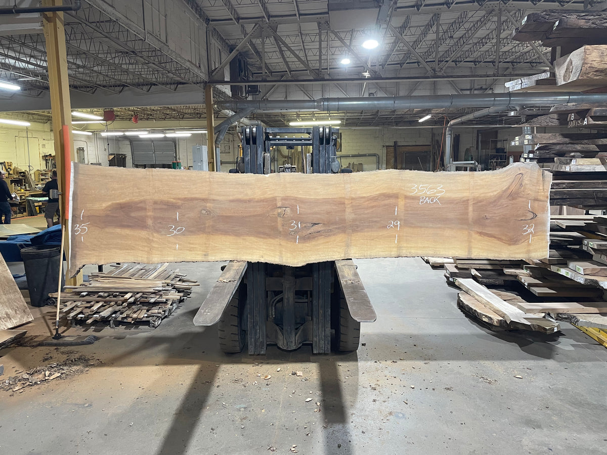 Sycamore (3563) 157” L x 26-31” W x 2.5” T
