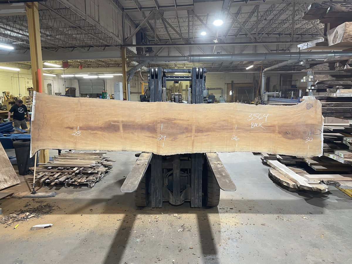 Sycamore (3564) 156” L x 21-27” W x 2.5” T