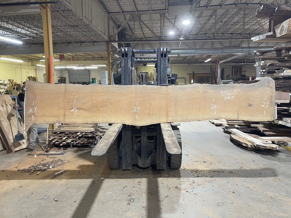 Sycamore (3565) 155” L x 15-23” W x 2.5” T