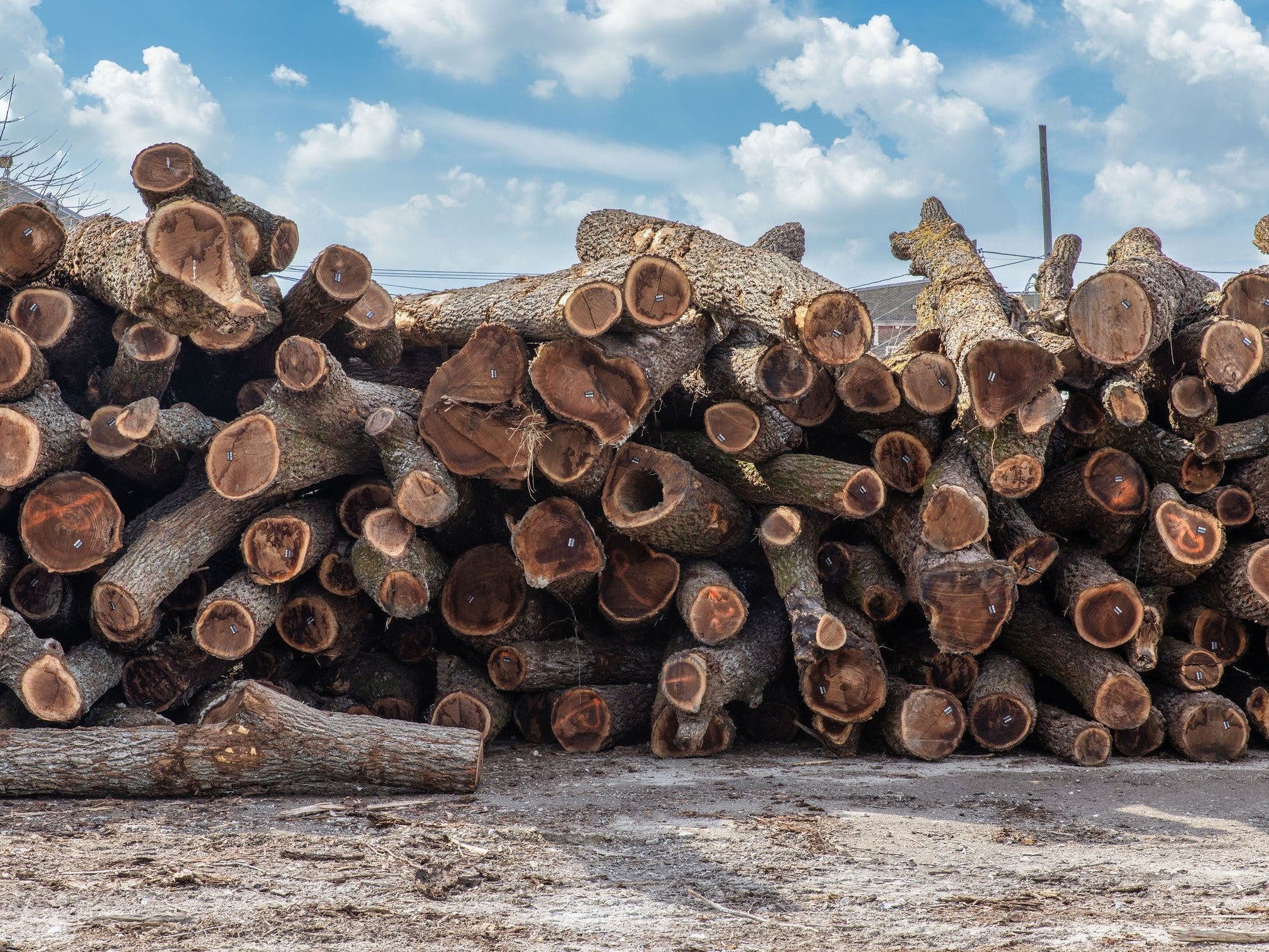 Sawmill Services Log Milling & Log Kiln Drying in Kansas City KC