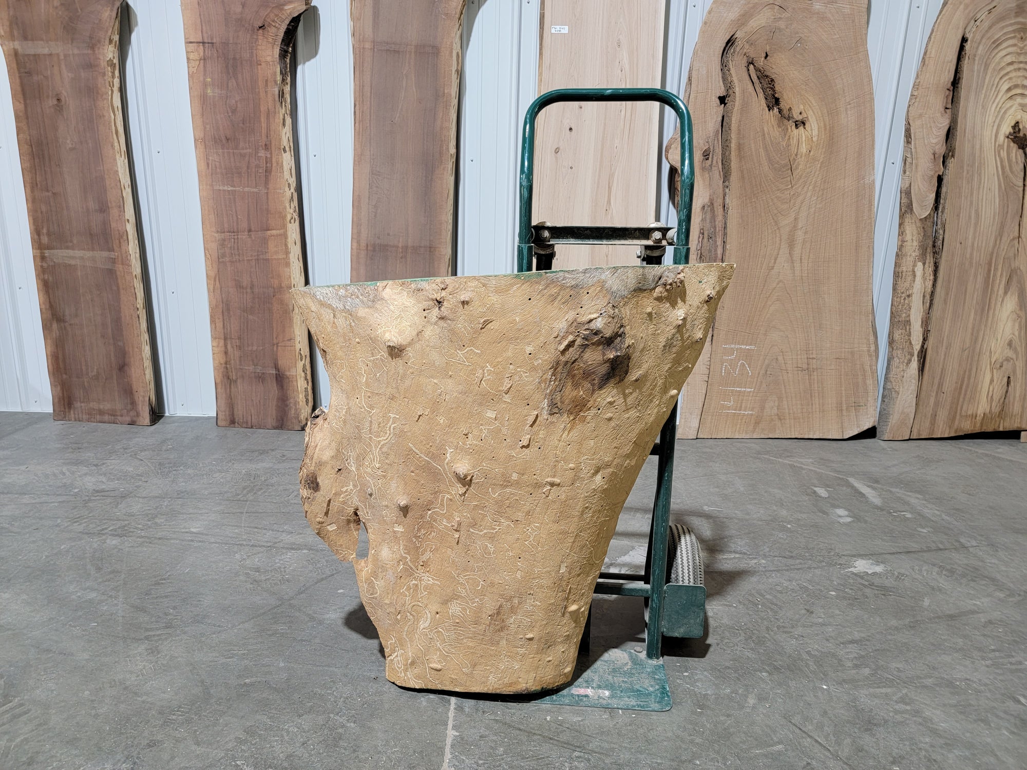 Ash (1556) 34” L x 15-34” W x 2” T