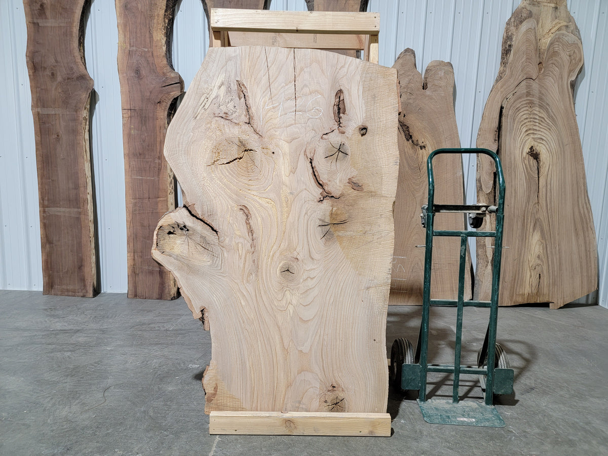 Pin Oak (1426) 65” L x 26-40” W x 2.75” T