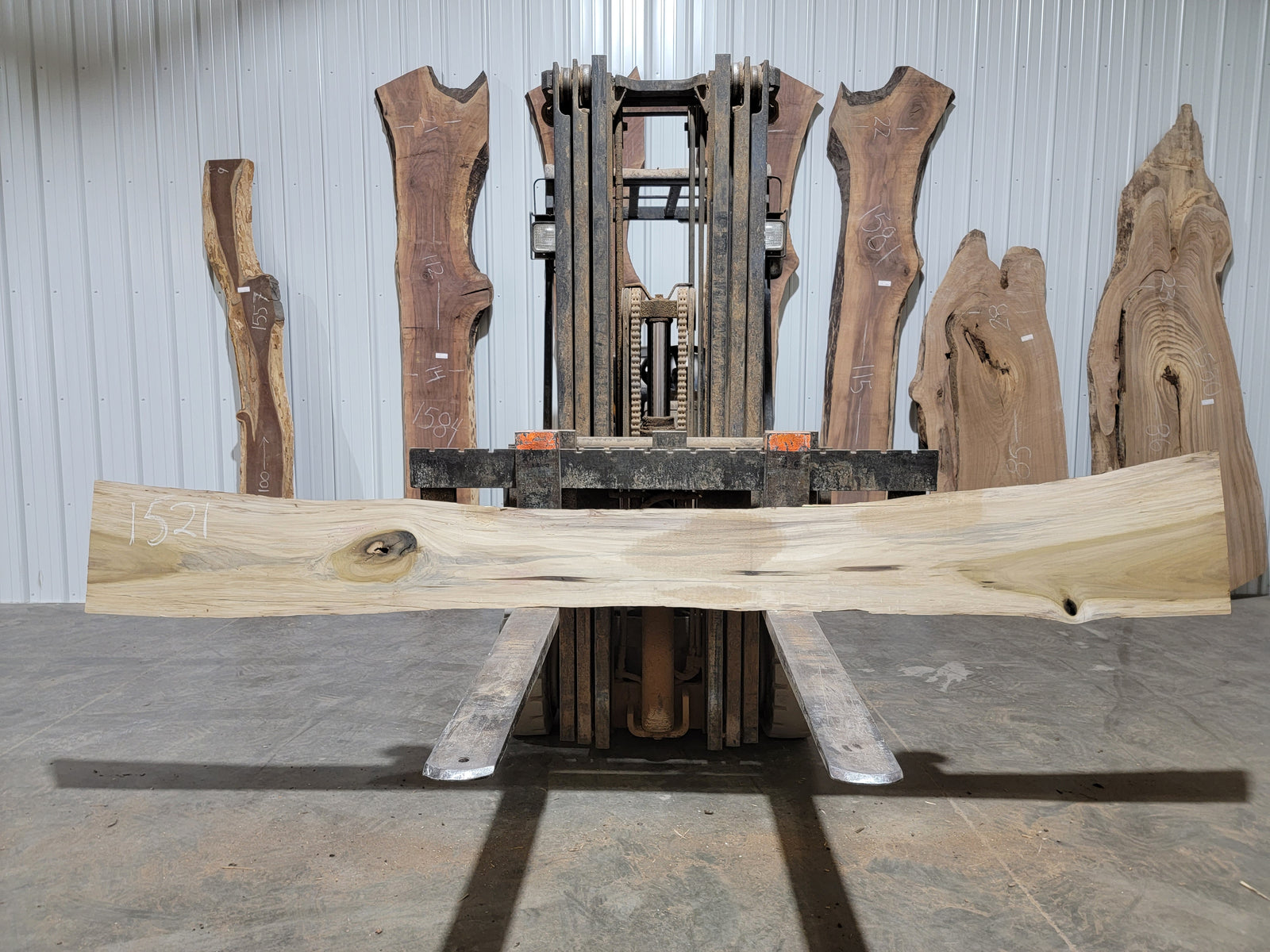 Poplar (1521) 124” L X 6-14” W X 1.5” T
