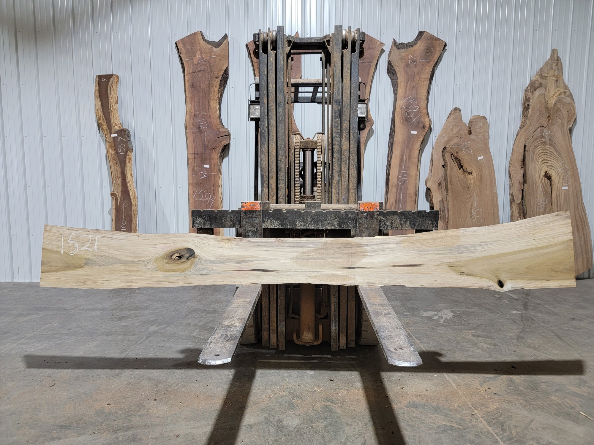 Poplar (1521) 124” L X 6-14” W X 1.5” T