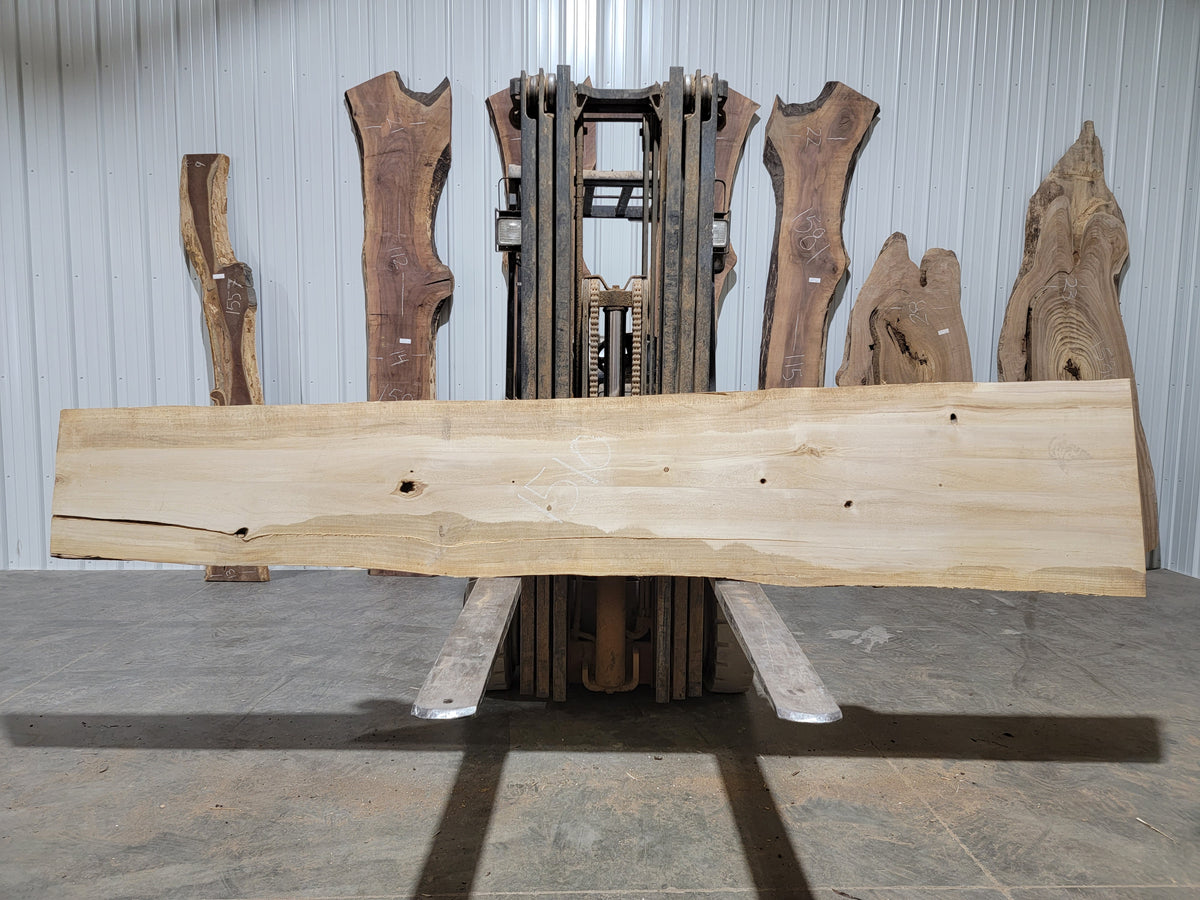 Cottonwood (1510) 125” L X 15-25” W X 1.75” T