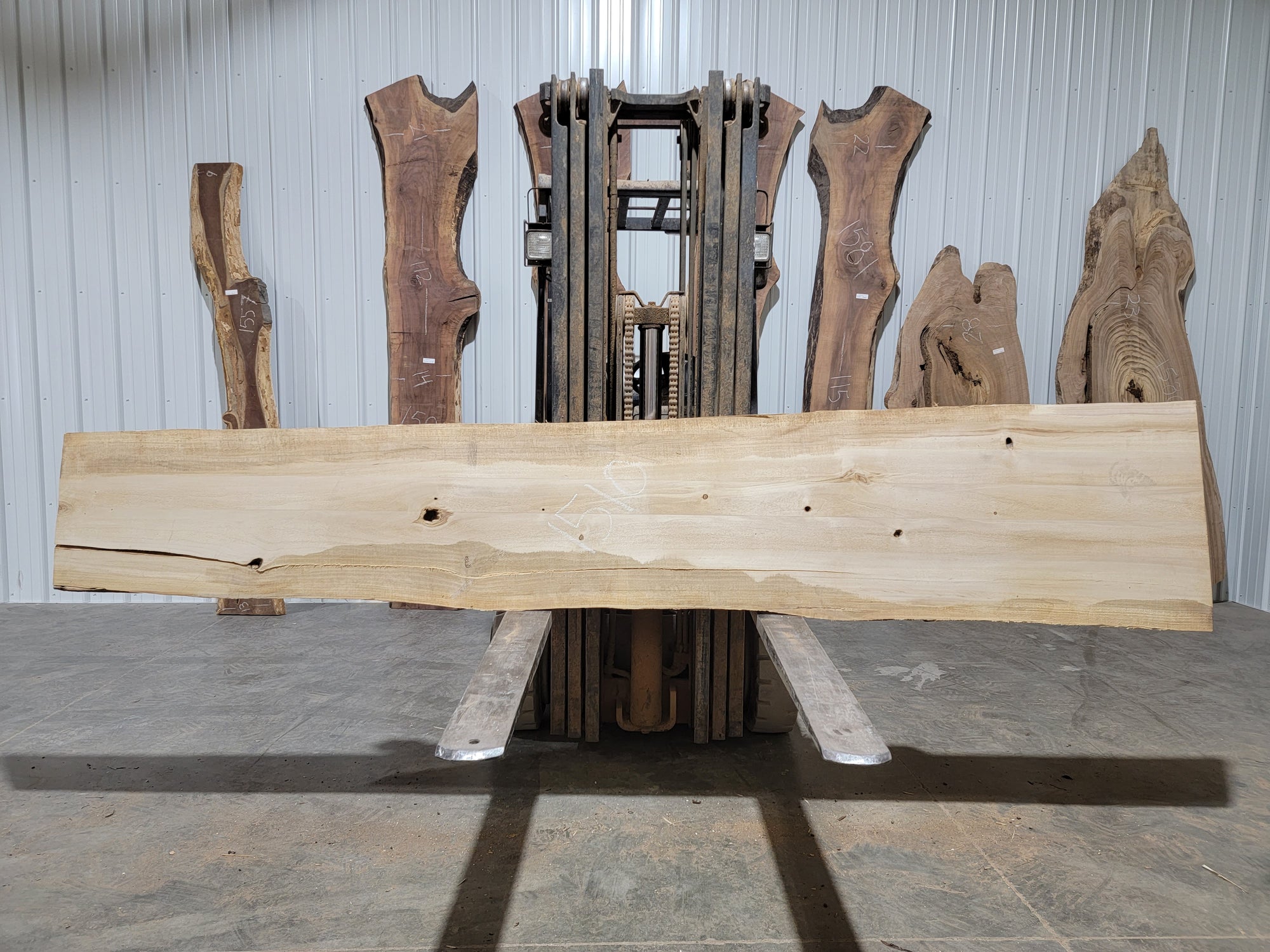 Cottonwood (1510) 125” L X 15-25” W X 1.75” T