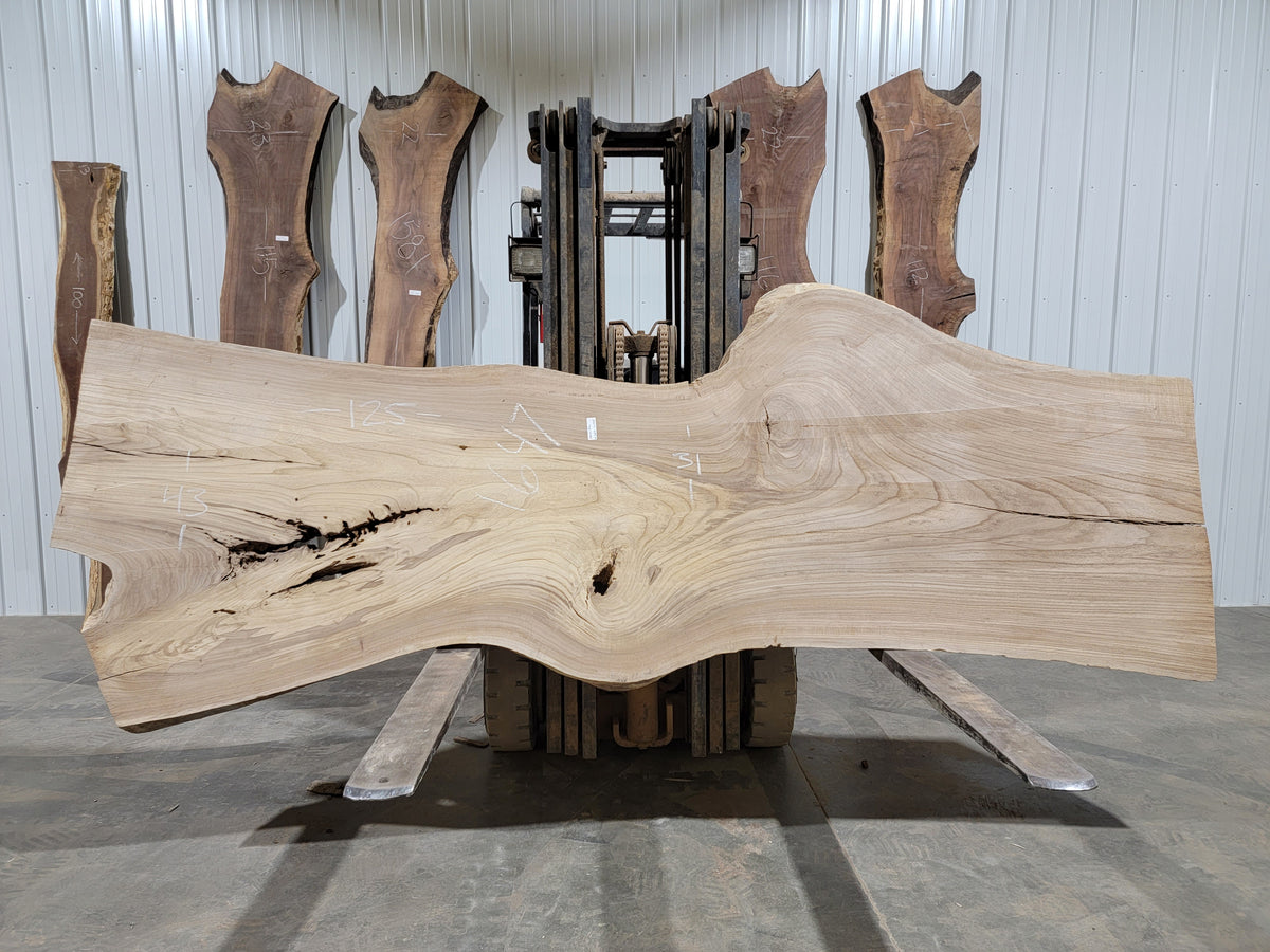Siberian Elm (1647) 125” L x 31-43” W x 3” T