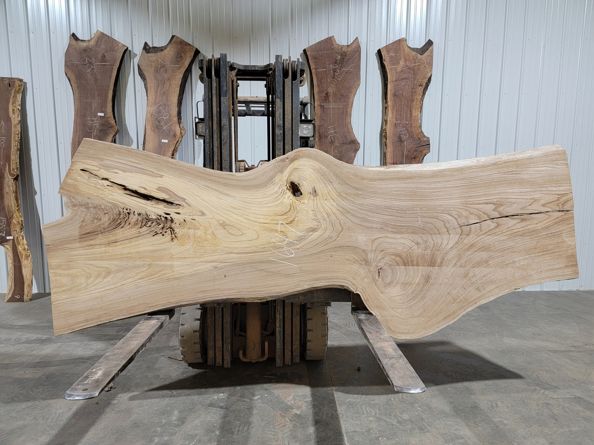 Siberian Elm (1647) 125” L x 31-43” W x 3” T