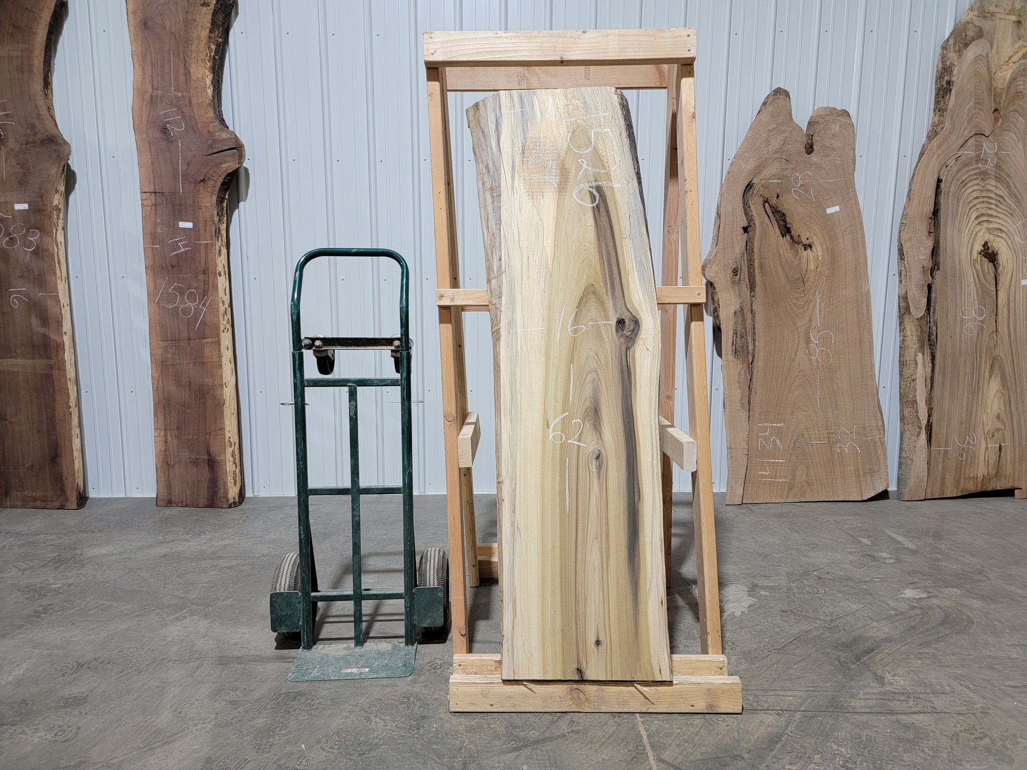 Poplar (1526) 62” L X 12-16” W X 3.5” T